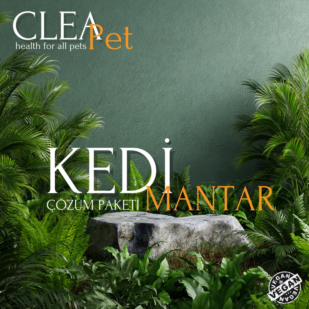 KEDİ MANTAR ÇÖZÜM PAKETİ