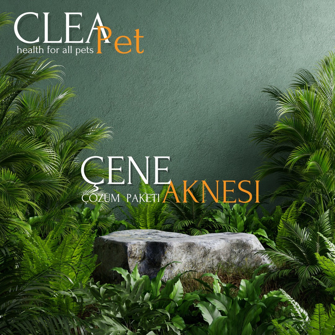 Çene Aknesi Tedavi Paketi