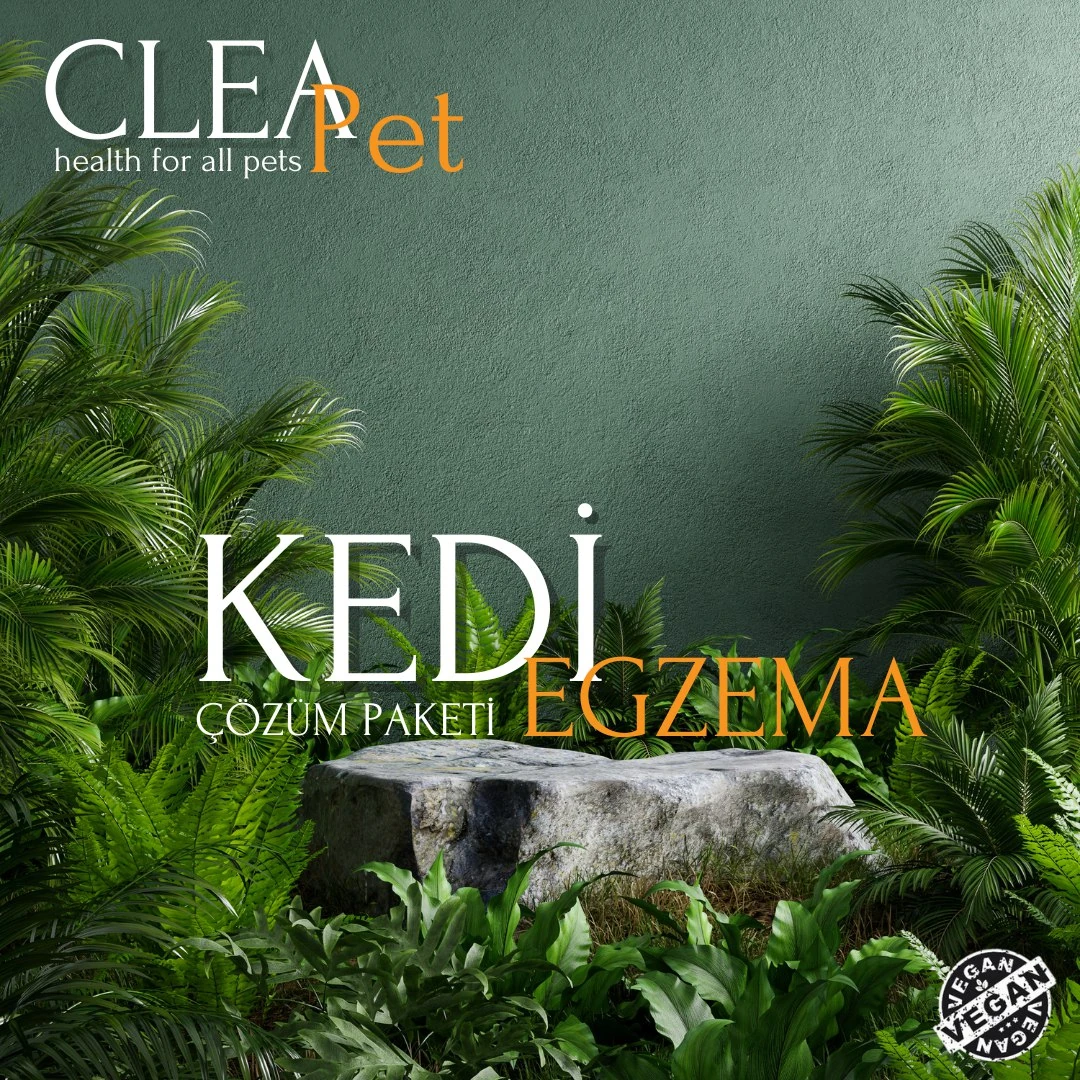 Kedi Egzama Tedavi Paketi